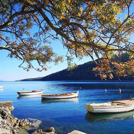 Spacious Rural W Pool Raša