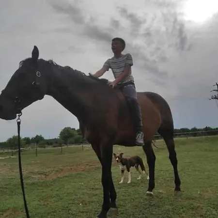 ヴィラ Spacious Rural W Pool