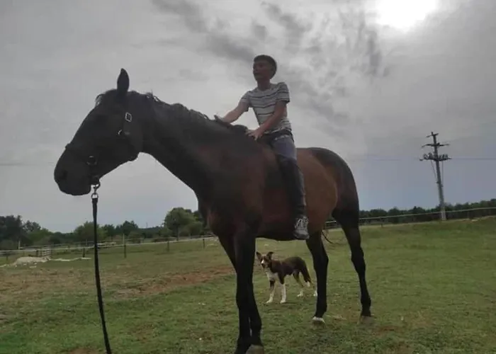 Villa Spacious Rural W Pool